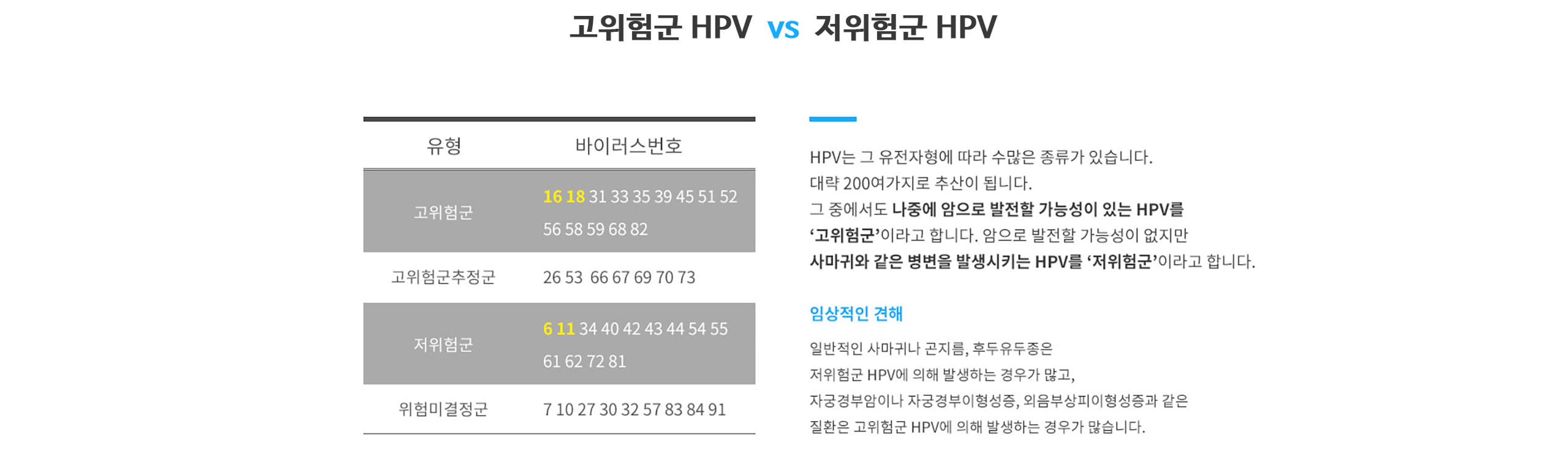 고위험군 HPV와 저위험군 HPV 구분 표