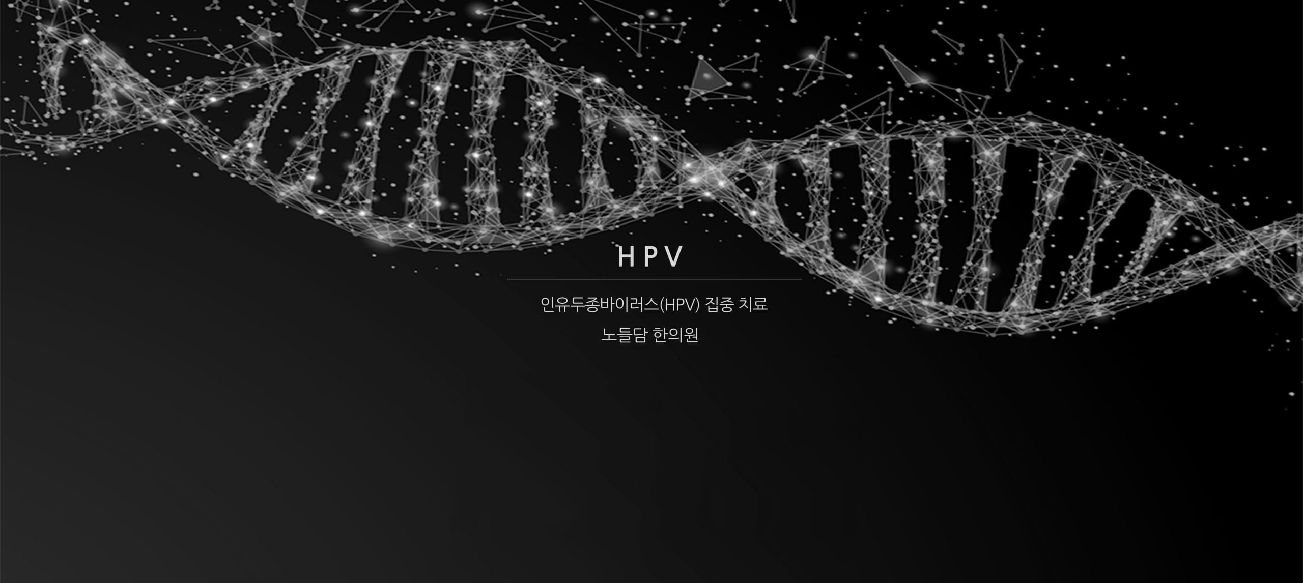 HPV 정보 헤드라인|인유두종바이러스 정보 표지